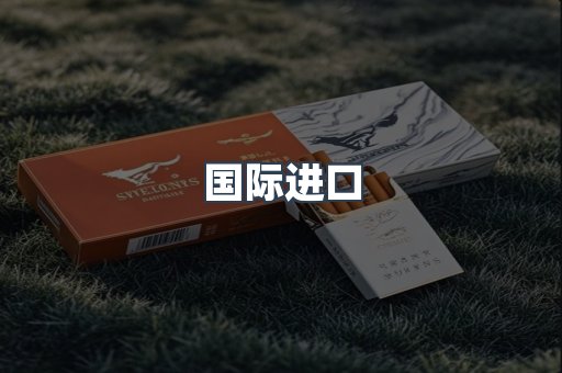 国际进口